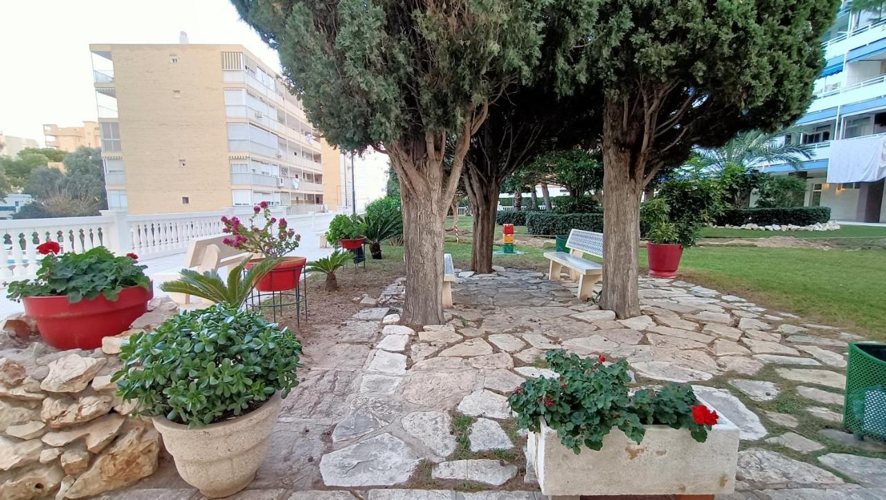 Apartamento Antonio De Alacant Aaa Lägenhet Alicante Exteriör bild